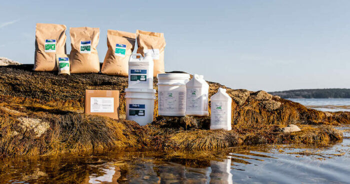 Kelp products displayed on Maine Coast