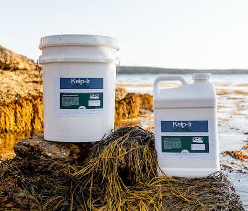 Kelp-It™ Seaweed Extracts