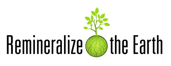 Remineralize the Earth