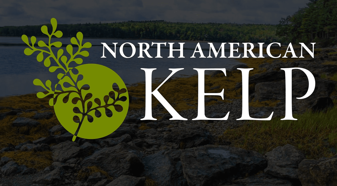 North America Kelp